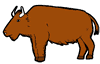 brownbuffalo