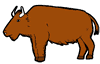BrownBuffaloImage